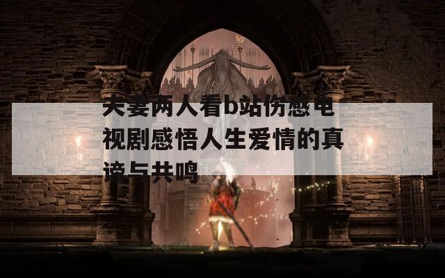 夫妻两人看b站伤感电视剧感悟人生爱情的真谛与共鸣