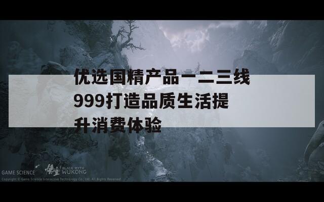 优选国精产品一二三线999打造品质生活提升消费体验