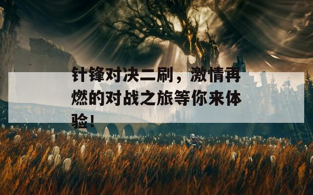 针锋对决二刷，激情再燃的对战之旅等你来体验！