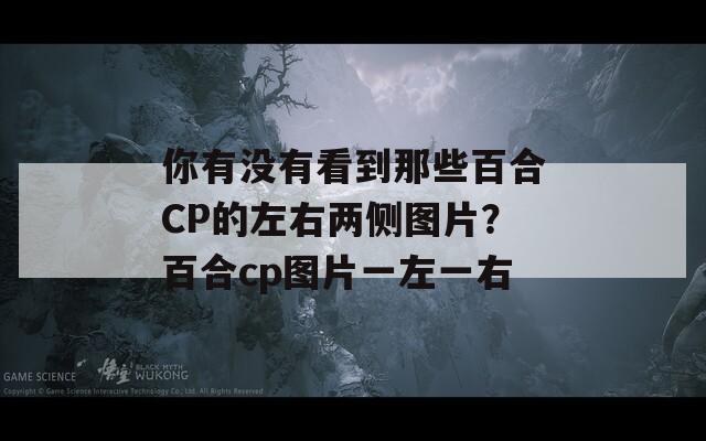 你有没有看到那些百合CP的左右两侧图片？百合cp图片一左一右