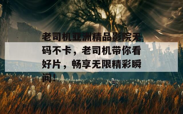 老司机亚洲精品影院无码不卡，老司机带你看好片，畅享无限精彩瞬间！