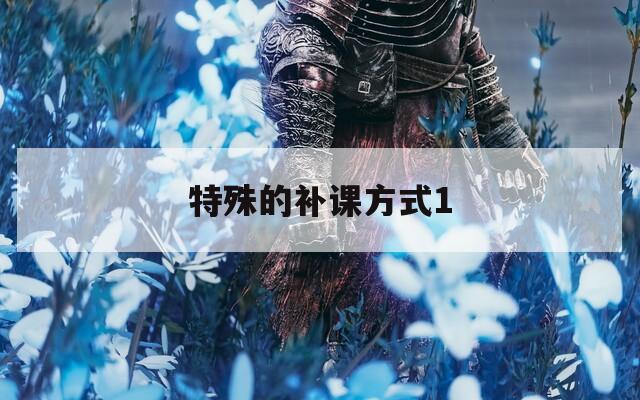 特殊的补课方式1