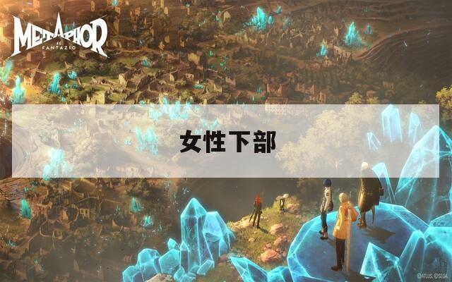 女性下部