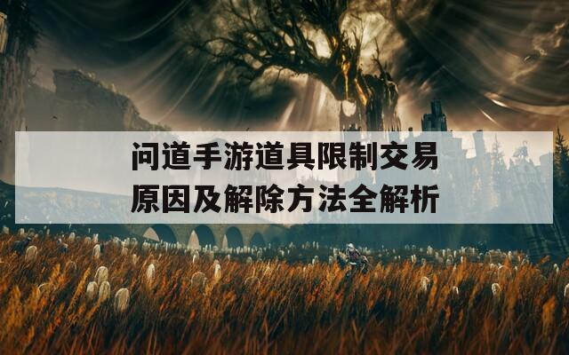 问道手游道具限制交易原因及解除方法全解析