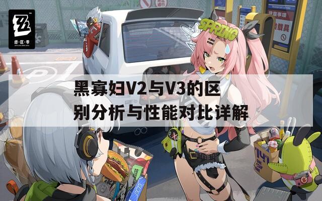 黑寡妇V2与V3的区别分析与性能对比详解