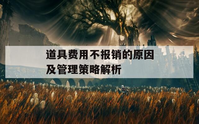 道具费用不报销的原因及管理策略解析