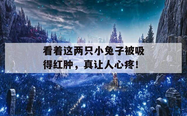 看着这两只小兔子被吸得红肿，真让人心疼！