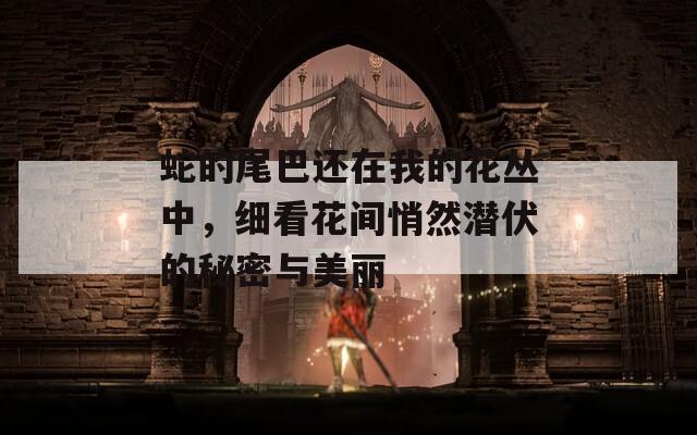 蛇的尾巴还在我的花丛中，细看花间悄然潜伏的秘密与美丽