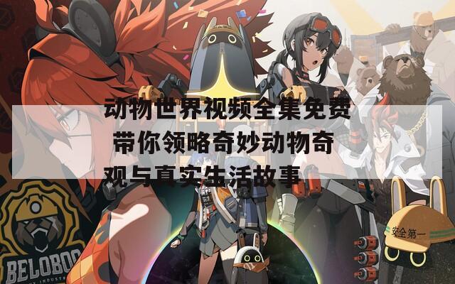 动物世界视频全集免费 带你领略奇妙动物奇观与真实生活故事