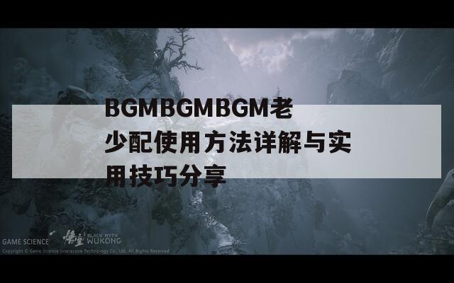BGMBGMBGM老少配使用方法详解与实用技巧分享