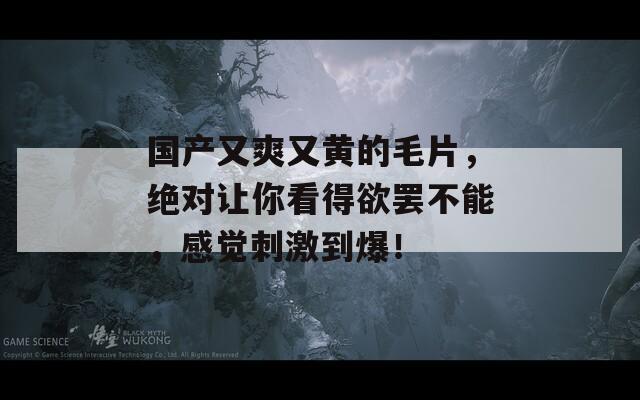 国产又爽又黄的毛片，绝对让你看得欲罢不能，感觉刺激到爆！