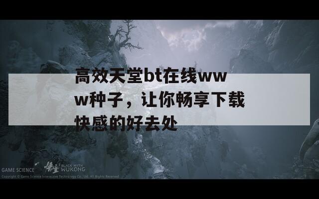 高效天堂bt在线www种子，让你畅享下载快感的好去处