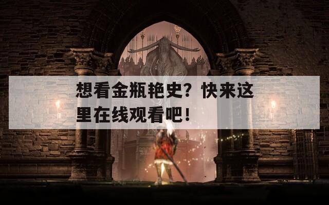 想看金瓶艳史？快来这里在线观看吧！
