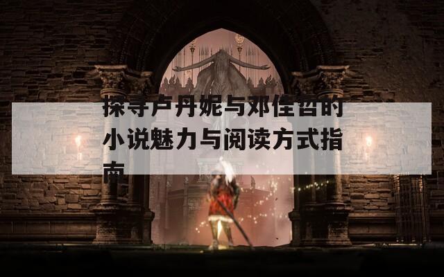 探寻卢丹妮与邓佳哲的小说魅力与阅读方式指南