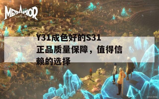 Y31成色好的S31正品质量保障，值得信赖的选择