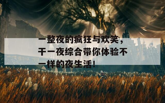 一整夜的疯狂与欢笑，干一夜综合带你体验不一样的夜生活！
