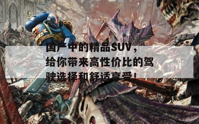 国产中的精品SUV，给你带来高性价比的驾驶选择和舒适享受！