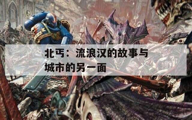 北丐：流浪汉的故事与城市的另一面