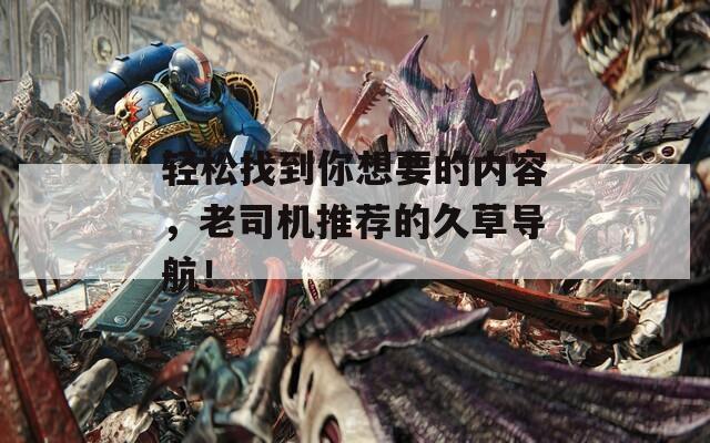 轻松找到你想要的内容，老司机推荐的久草导航！