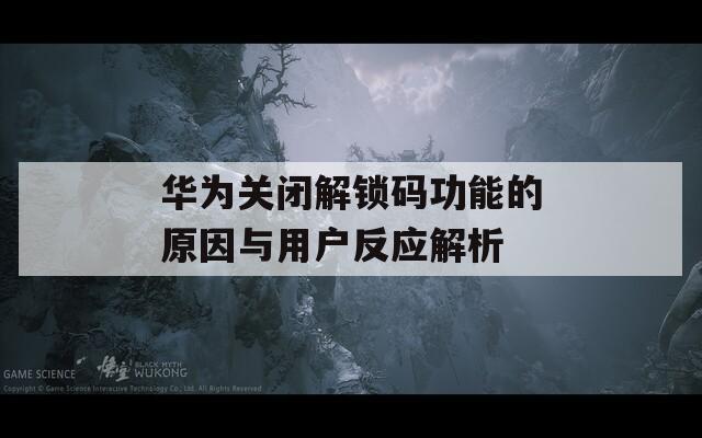 华为关闭解锁码功能的原因与用户反应解析