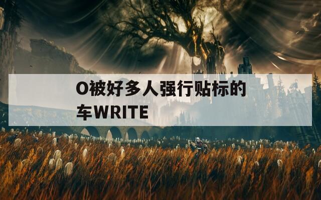 O被好多人强行贴标的车WRITE