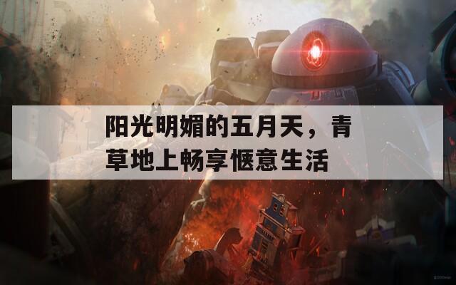 阳光明媚的五月天，青草地上畅享惬意生活