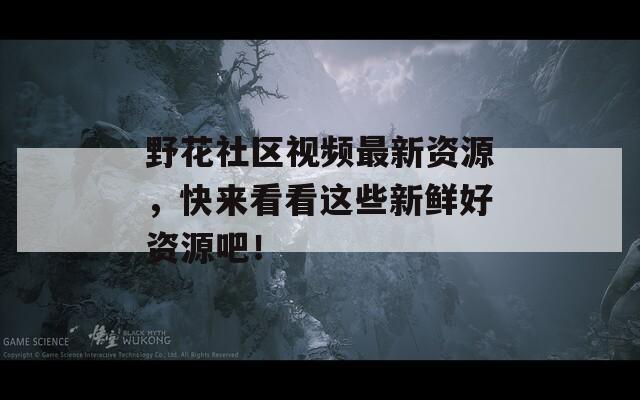 野花社区视频最新资源，快来看看这些新鲜好资源吧！