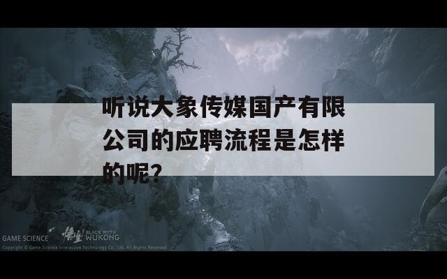 听说大象传媒国产有限公司的应聘流程是怎样的呢？