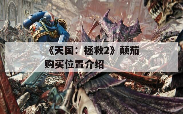 《天国：拯救2》颠茄购买位置介绍