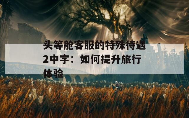 头等舱客服的特殊待遇2中字：如何提升旅行体验
