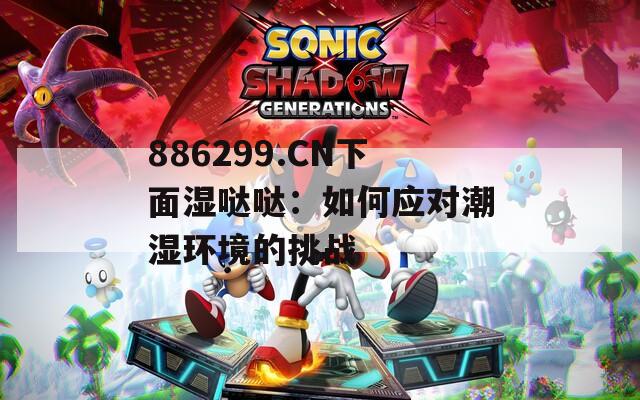 886299.CN下面湿哒哒：如何应对潮湿环境的挑战