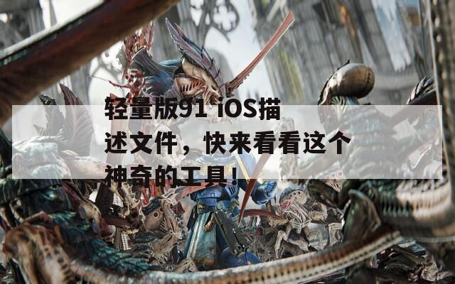 轻量版91 iOS描述文件，快来看看这个神奇的工具！