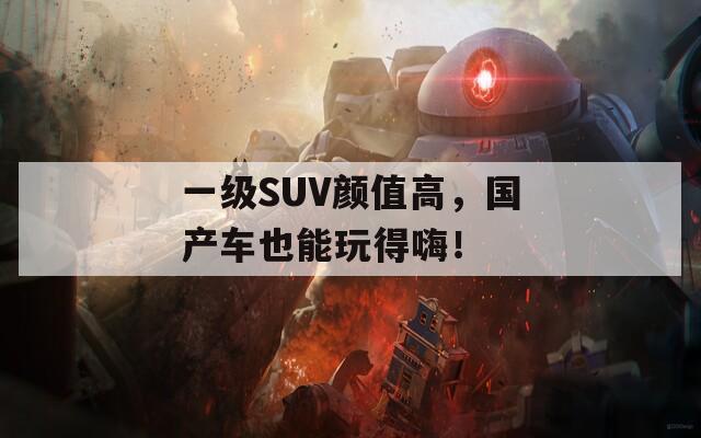 一级SUV颜值高，国产车也能玩得嗨！