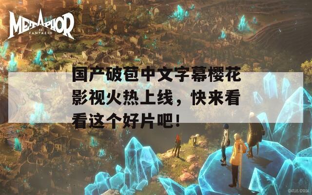 国产破苞中文字幕樱花影视火热上线，快来看看这个好片吧！