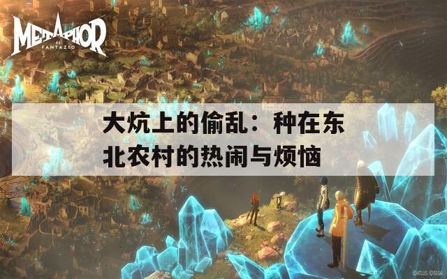 大炕上的偷乱：种在东北农村的热闹与烦恼