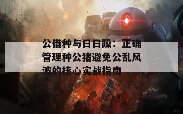 公借种与日日躁：正确管理种公猪避免公乱风波的核心实战指南