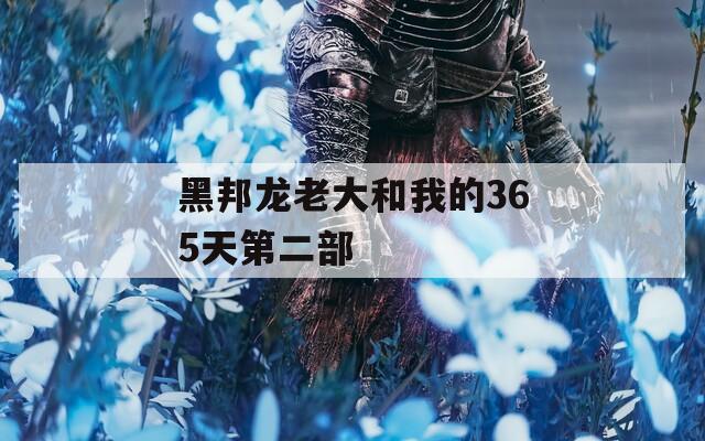 黑邦龙老大和我的365天第二部