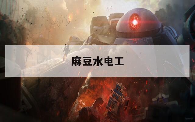 麻豆水电工