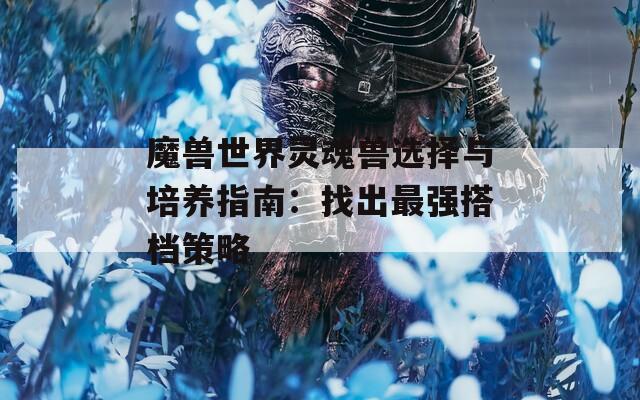 魔兽世界灵魂兽选择与培养指南：找出最强搭档策略