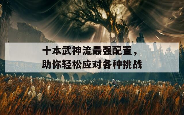 十本武神流最强配置，助你轻松应对各种挑战