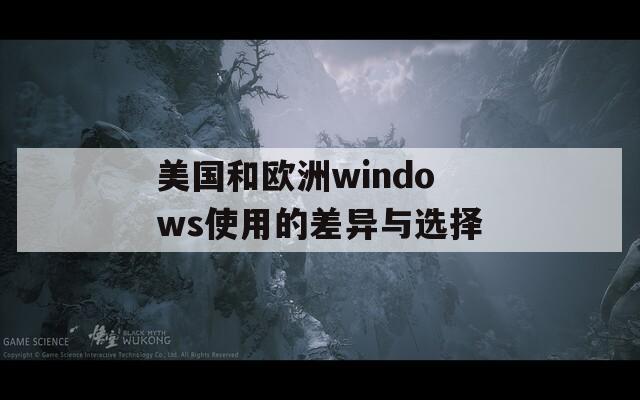 美国和欧洲windows使用的差异与选择