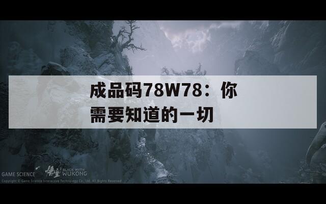 成品码78W78：你需要知道的一切