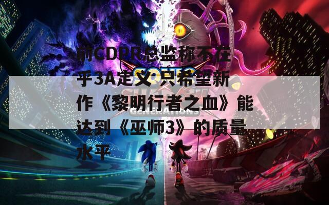 前CDPR总监称不在乎3A定义 只希望新作《黎明行者之血》能达到《巫师3》的质量水平