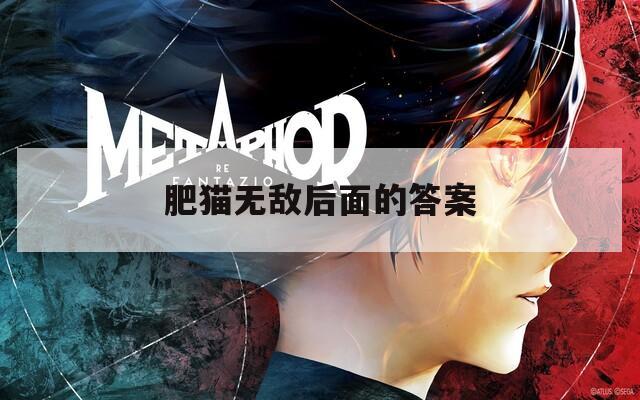 肥猫无敌后面的答案