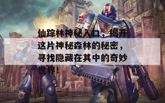 仙踪林神秘入口，揭开这片神秘森林的秘密，寻找隐藏在其中的奇妙世界！