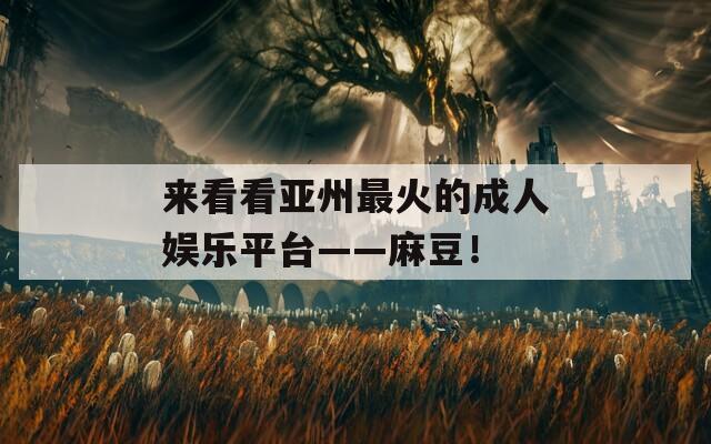 来看看亚州最火的成人娱乐平台——麻豆！