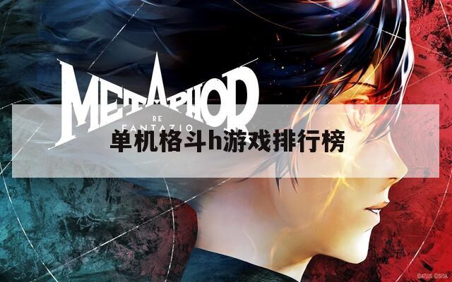 单机格斗h游戏排行榜