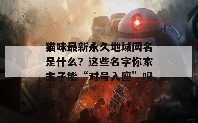 猫咪最新永久地域网名是什么？这些名字你家主子能“对号入座”吗