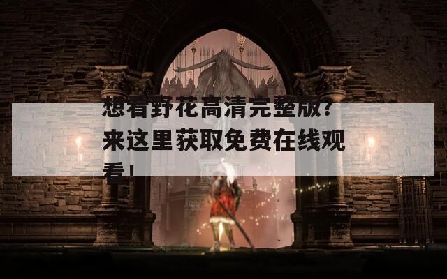 想看野花高清完整版？来这里获取免费在线观看！