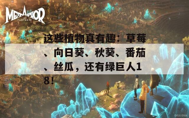 这些植物真有趣：草莓、向日葵、秋葵、番茄、丝瓜，还有绿巨人18！